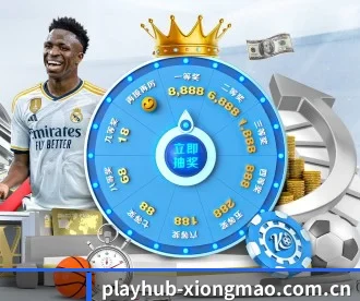 playhub-xiongmao.com.cn APP 深度功能